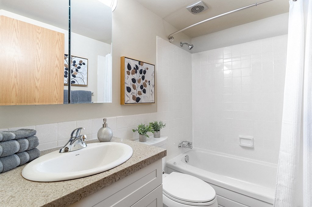 a bathroom with a sink toilet and bathtub