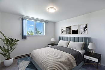 21 Clayton Drive Studio-3 Beds Apartment for Rent - Photo Gallery 2