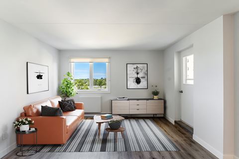 a living room with a orange couch and a striped rug