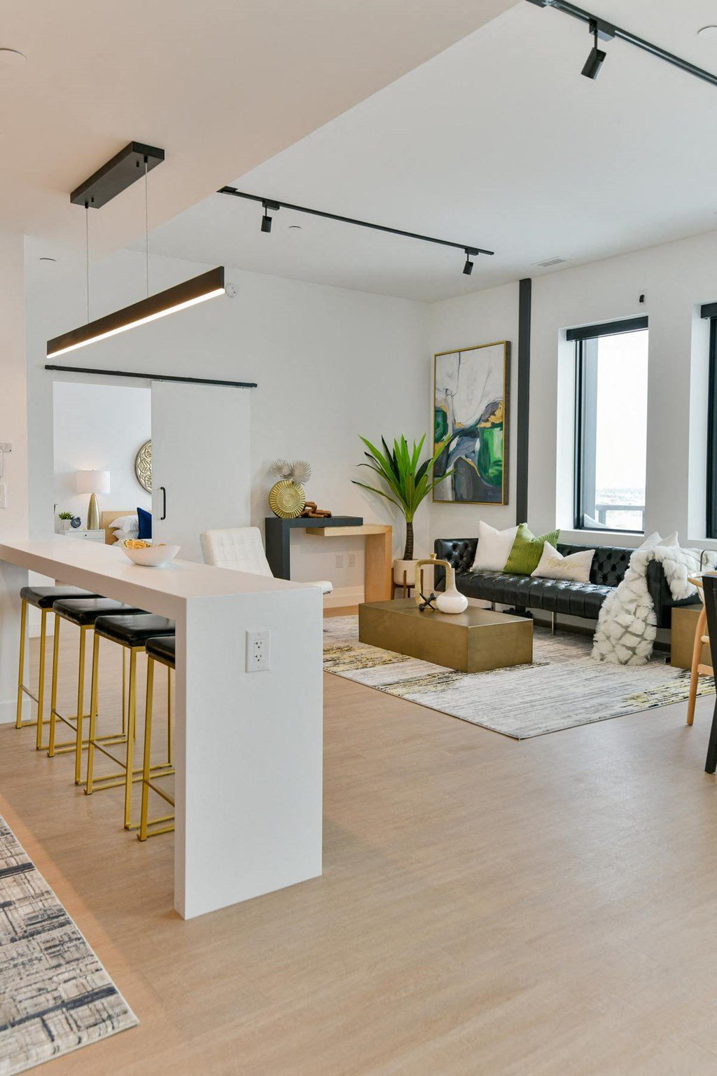 a living area with a kitchen and a living room