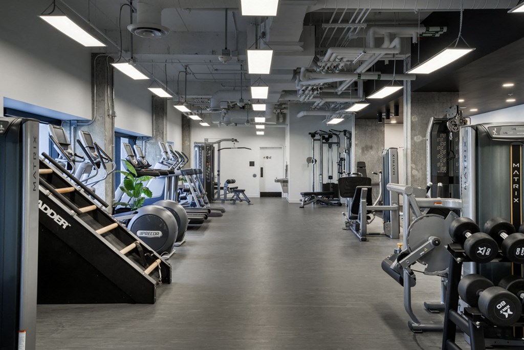 a large fitness room with weights and other exercise equipment