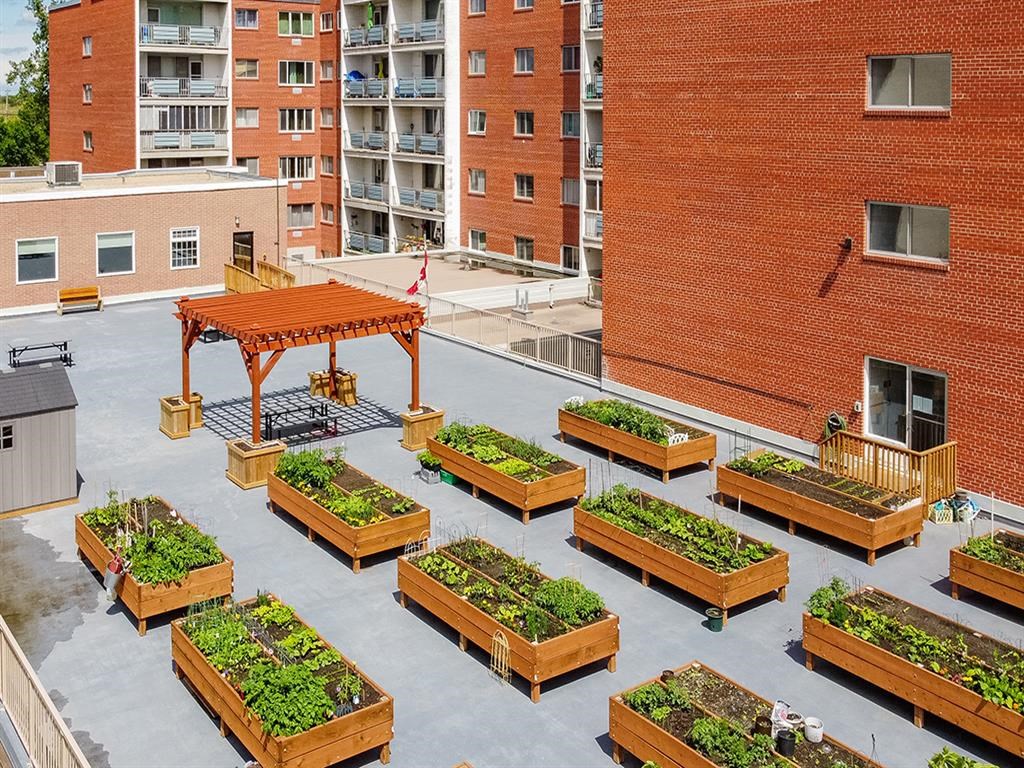 an aerial view of a courtyard with plants and a gazebo