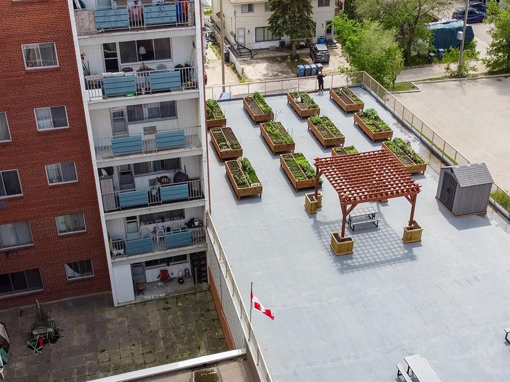 an aerial view of a rooftop patio with potted plants