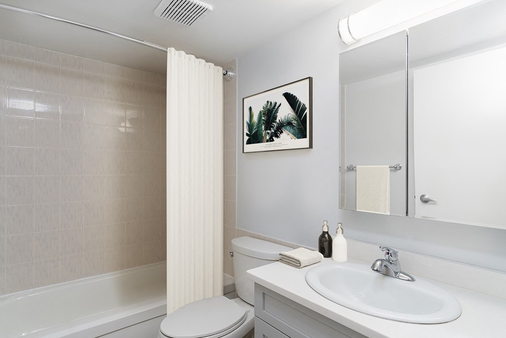 a bathroom with a sink and a toilet and a shower