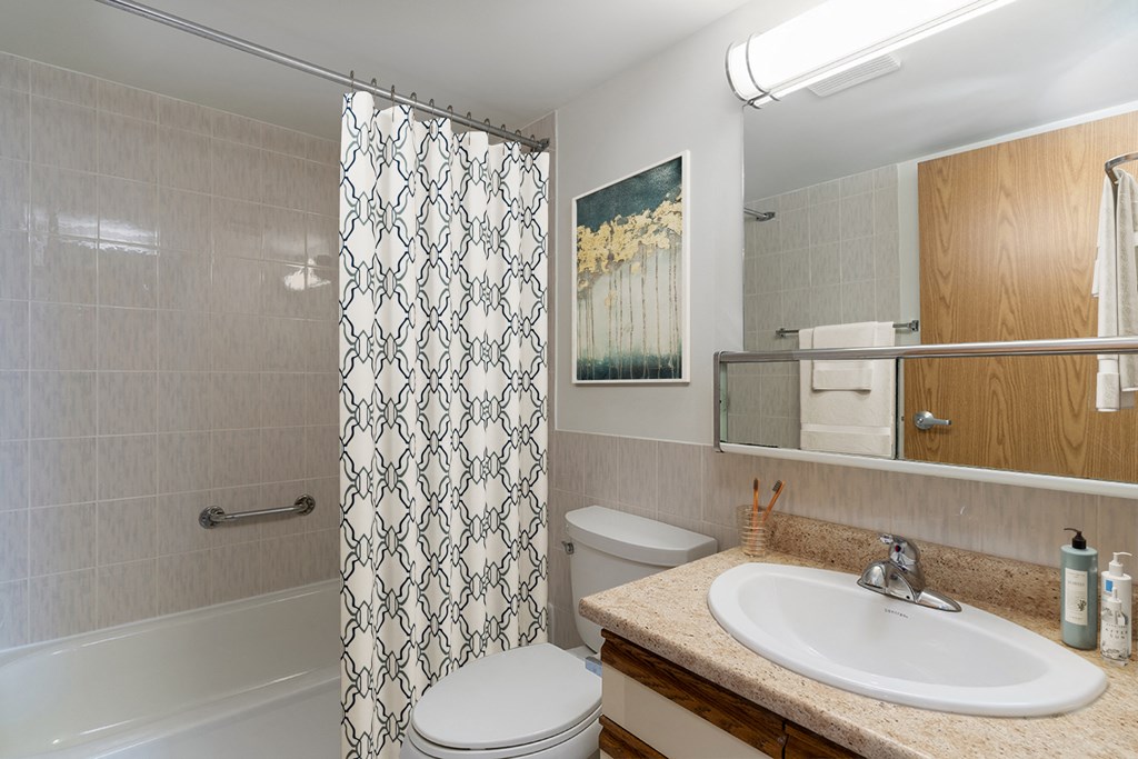 a bathroom with a sink and a toilet and a shower