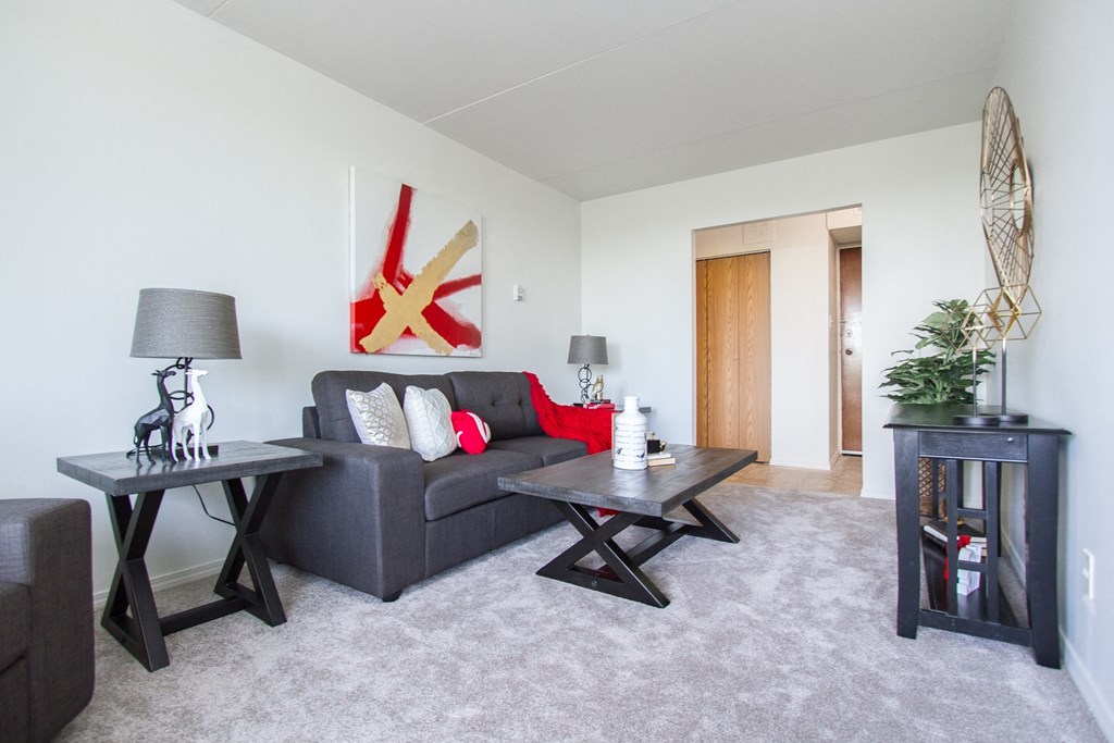 a living room with grey carpet and white walls