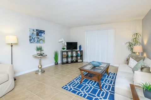 Living room with a white couch, a coffee table, and a blue rug.
