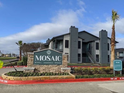 The Mosaic building has a palm tree in front of it.