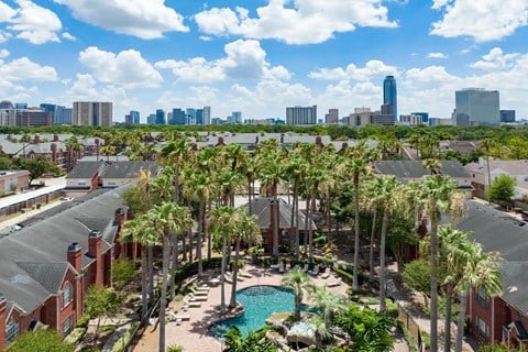 A pool surrounded by palm trees in a residential area.