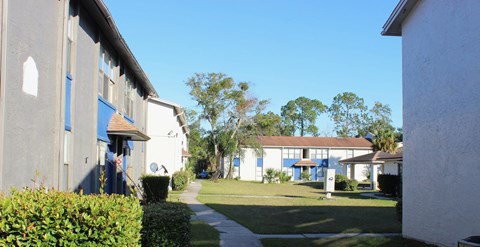 A sunny day in a quiet residential area with houses and trees.