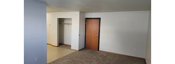 A room with a brown carpet and a brown door.