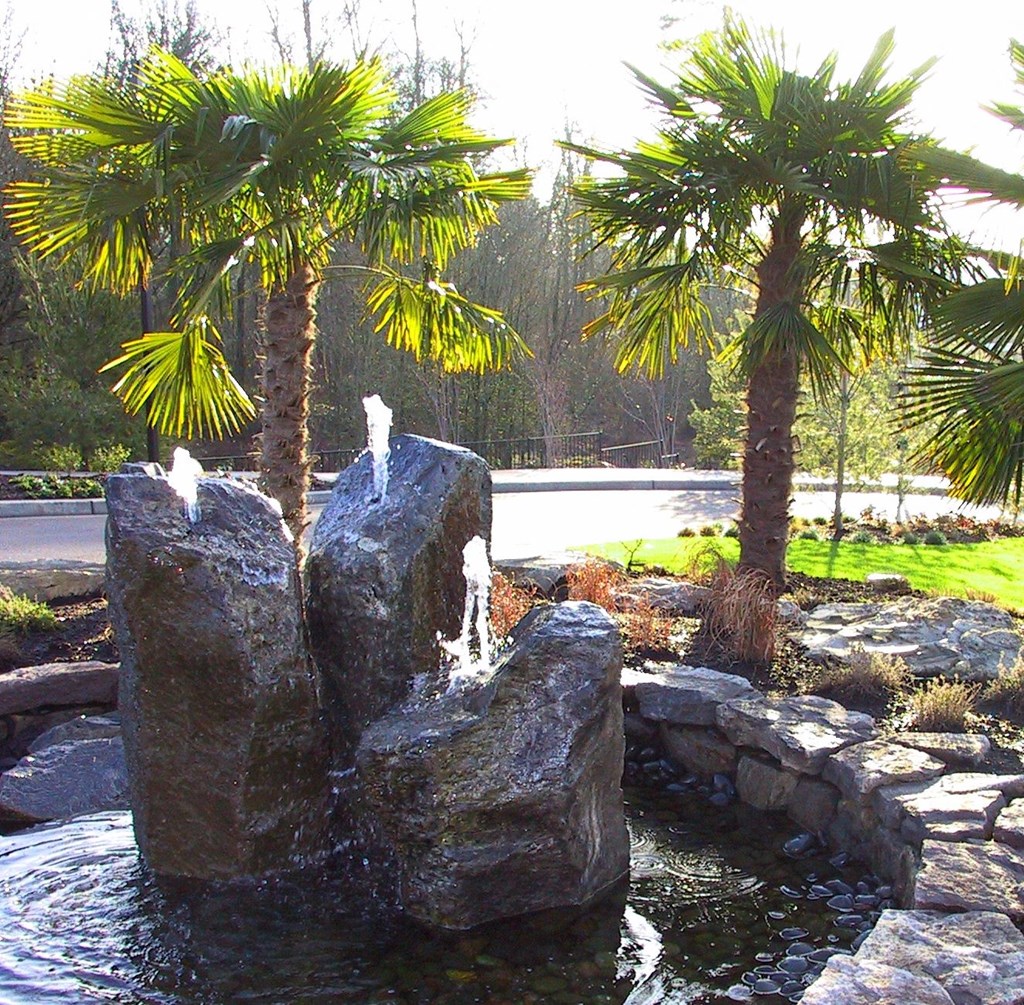 Wilsonville Summit Apartments, 25800 SW Canyon Creek Rd, Wilsonville