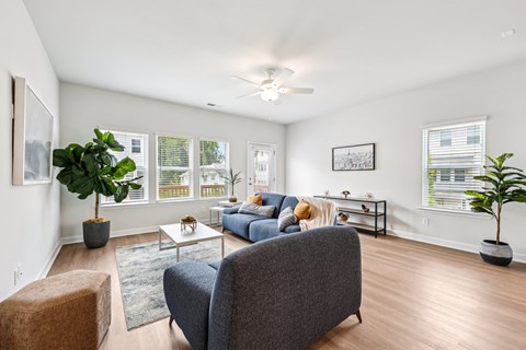 A living room with a grey couch, a brown ottoman, a coffee table, and a potted plant.