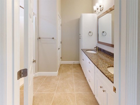 a bathroom with a sink and a shower