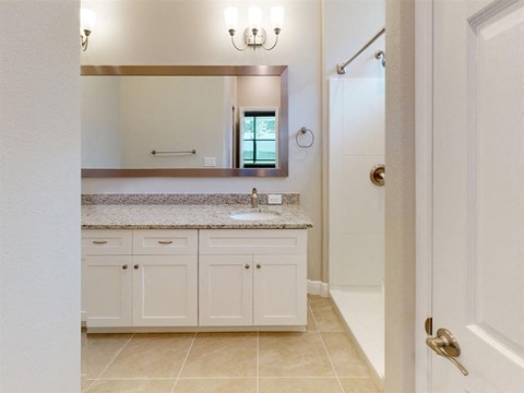 a bathroom with a sink and a shower and a mirror