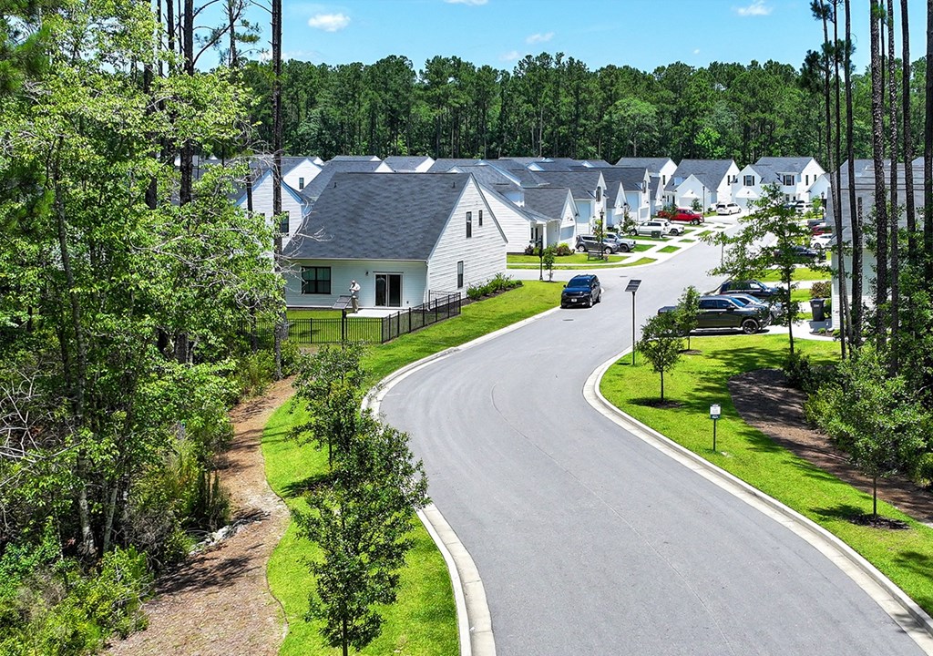 A curvy road in a residential area with houses on both sides.