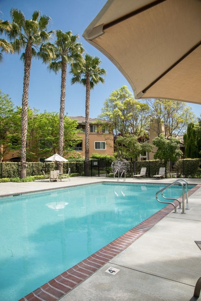 a large swimming pool with palm trees