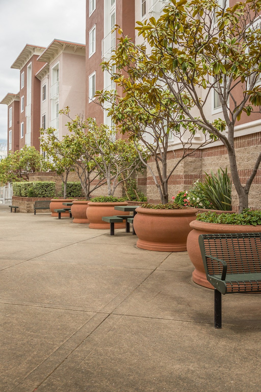 Steamboat Point Apartments