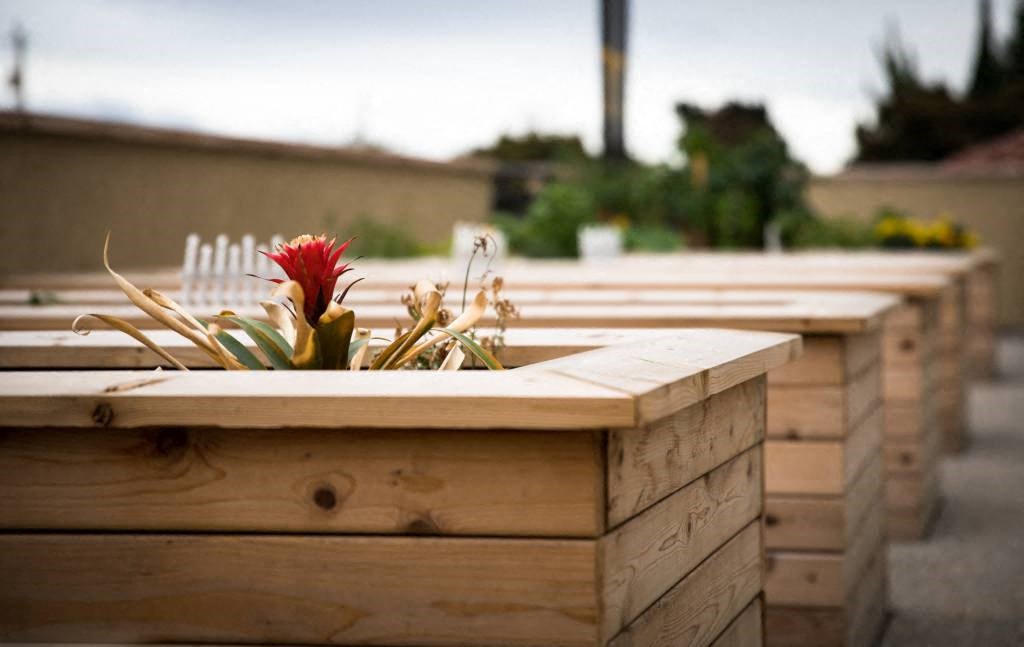 a row of wooden tables with a flower on them