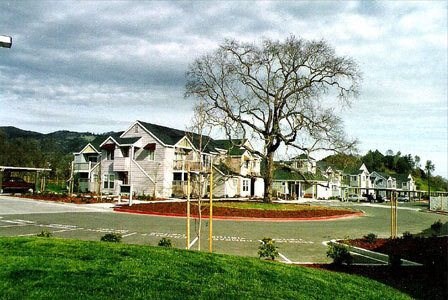a group of houses with a tree in the middle of a street