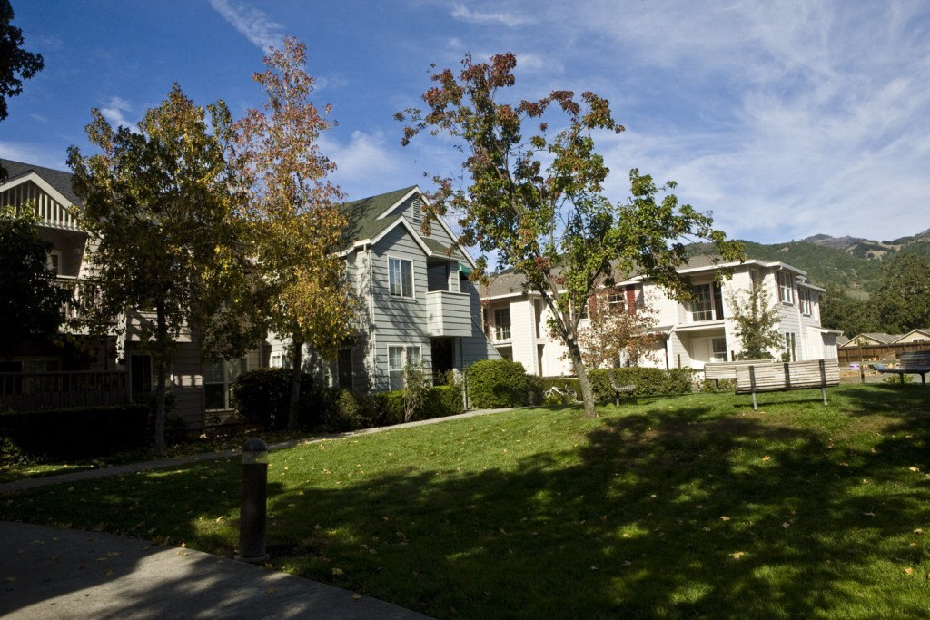 a row of houses on a hill with trees in the grass