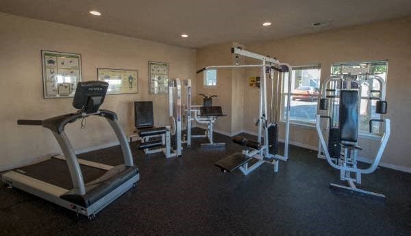 A gym with treadmills, weights, and exercise equipment.