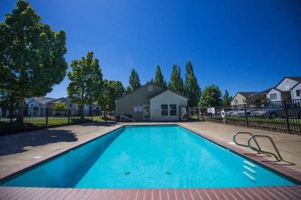 A swimming pool surrounded by a black fence and trees.