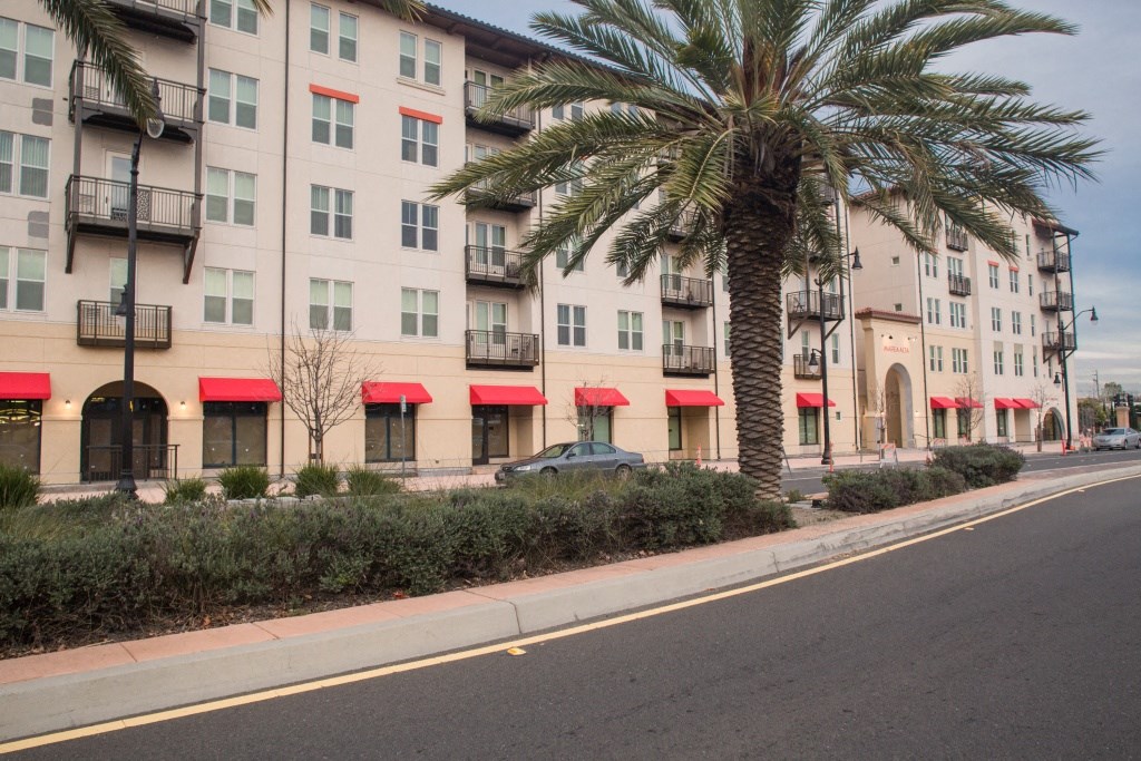 a palm tree in front of an apartment building on a street
