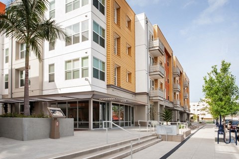 a city building with a sidewalk in front of it and a palm tree
