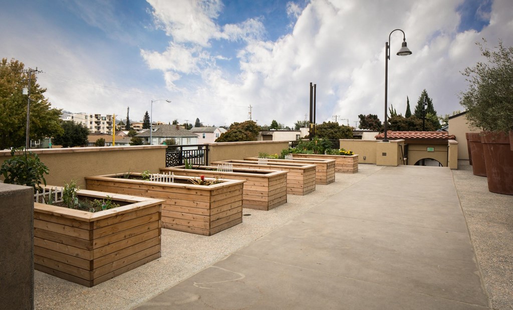 the roof terrace is lined with wooden planters with plants