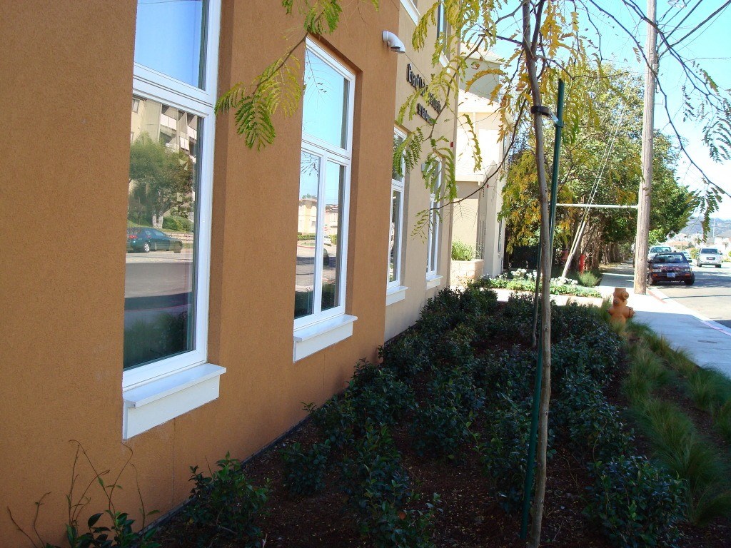 the side of a building with windows and a tree in front of it
