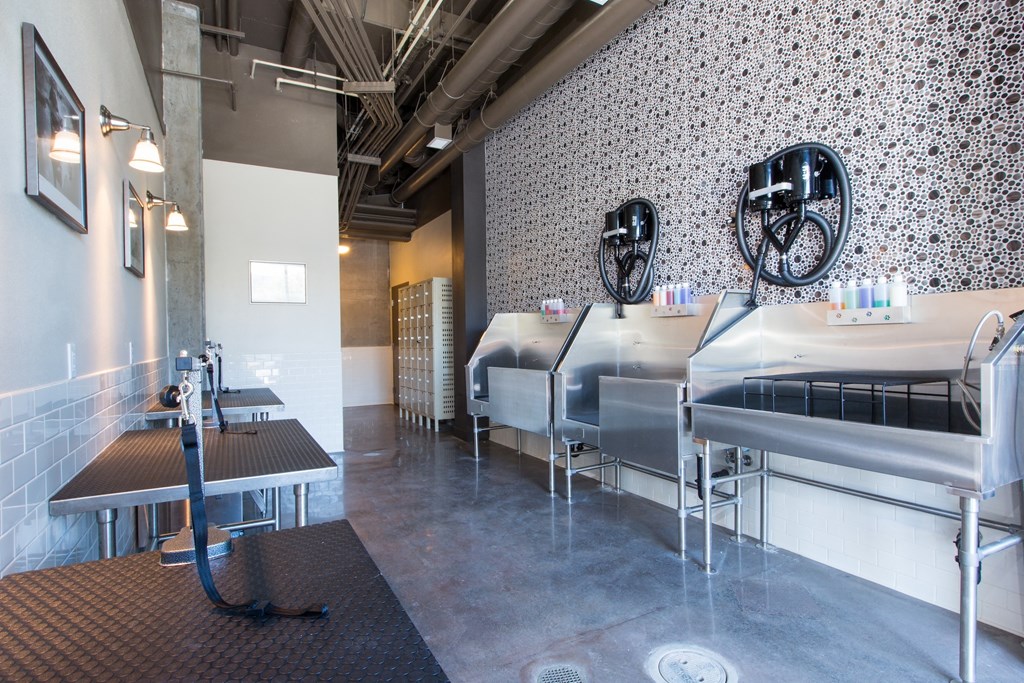 Pet Wash at Viewpoint, Berkeley, CA