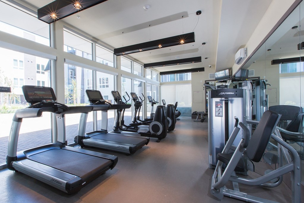 Cardio Machines at Viewpoint, California