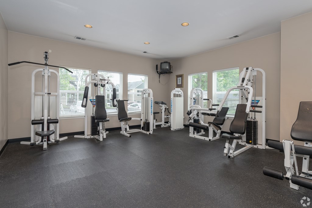 A gym with a variety of equipment including a leg press machine, a chest press machine, a leg curl machine, a leg extension machine, a lat pulldown machine, a seated calf raise machine, a seated leg raise