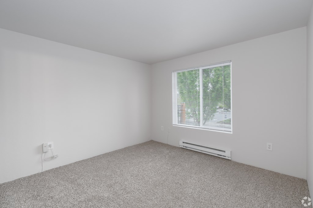 A room with a window and a carpeted floor.
