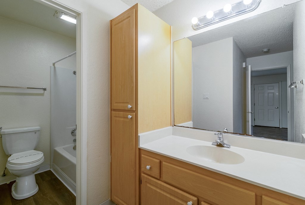 the preserve at ballantyne commons apartment bathroom with toilet sink and mirror