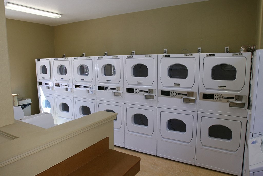 a row of washers and dryers in a laundry room