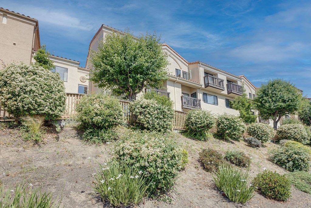 the backyard of an apartment building with bushes and trees