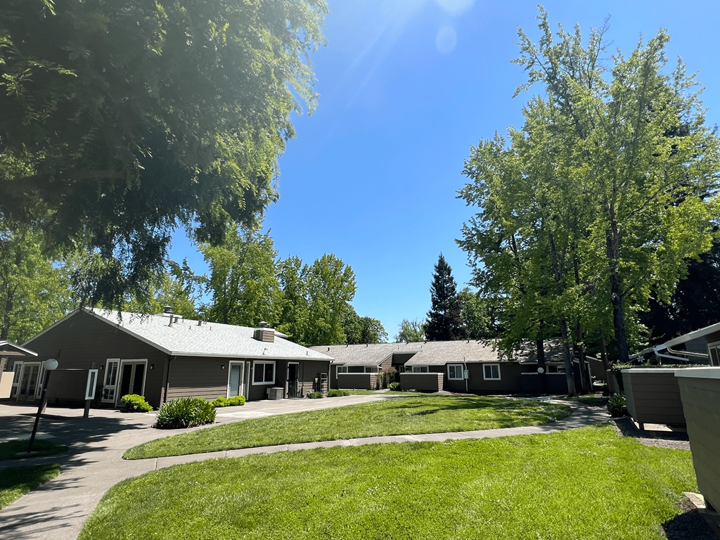 A sunny day at a park with a building in the background.
