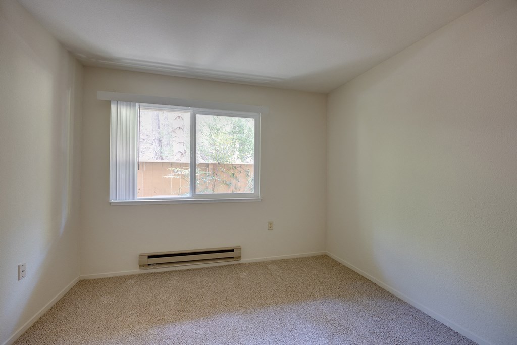 an empty room with a window and a carpet