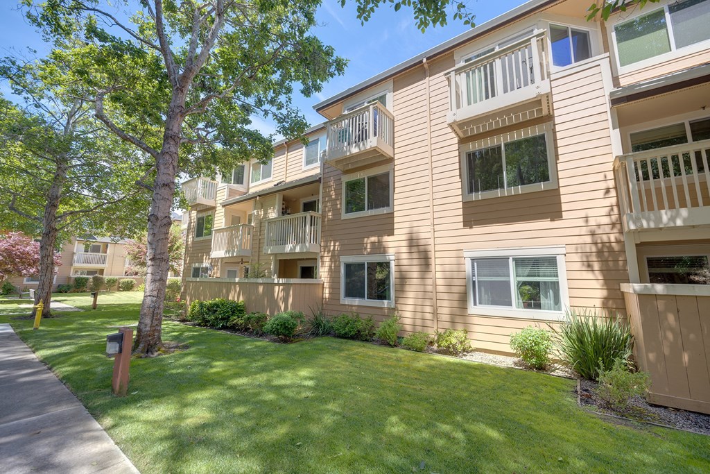 our apartments offer a spacious courtyard with grass