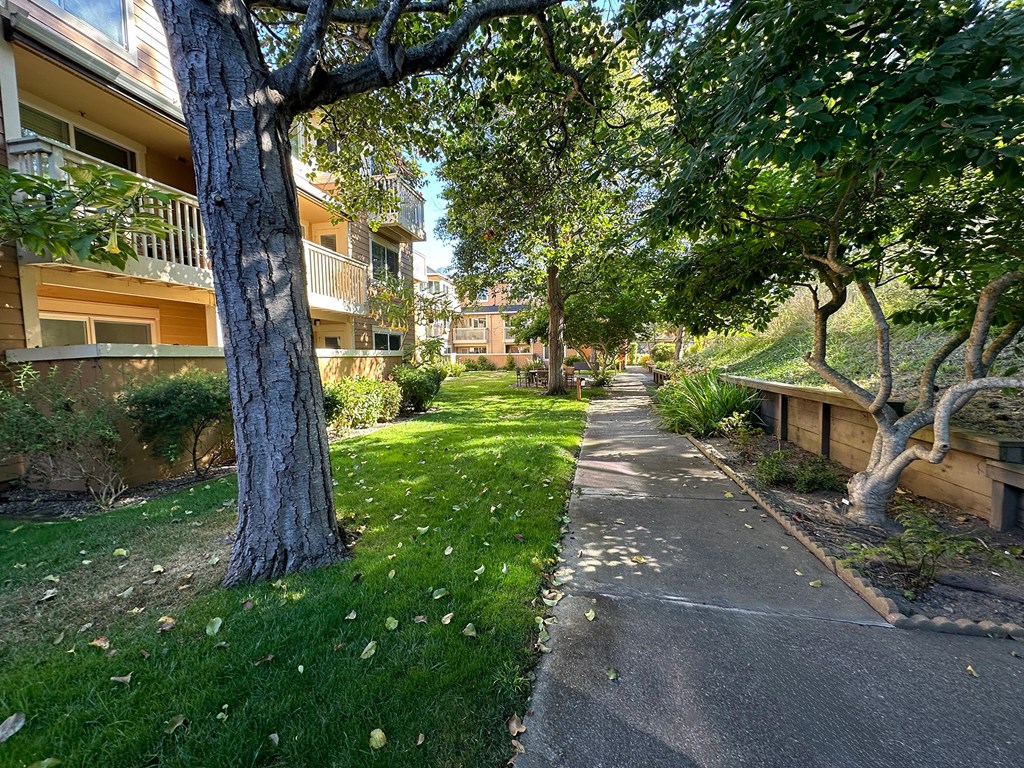 a sidewalk with trees and buildings on the side of it