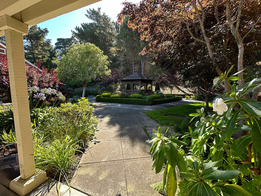 a view of a garden with a gazebo