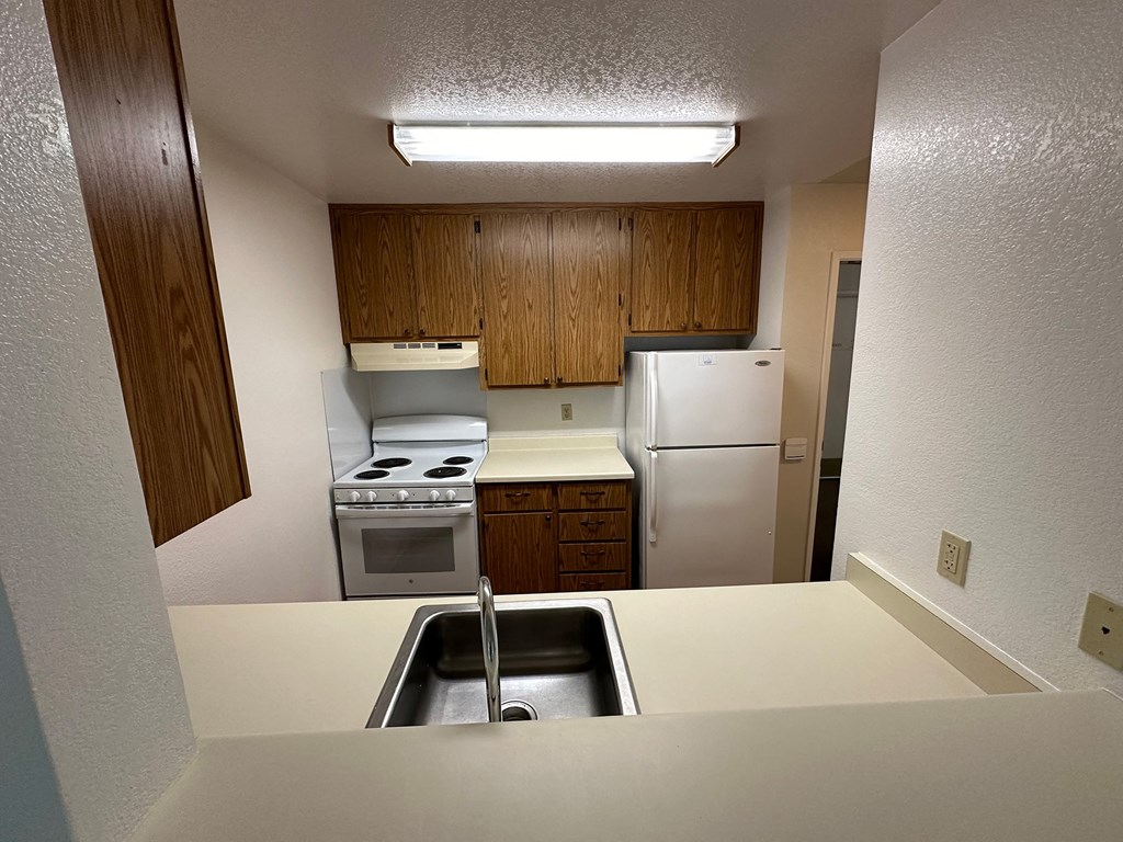 a kitchen with a sink and a stove and a refrigerator