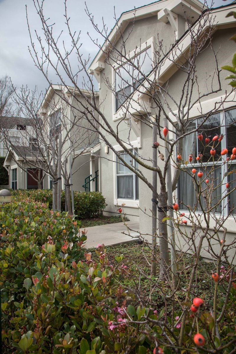the front of a house with flowering trees and a sidewalk