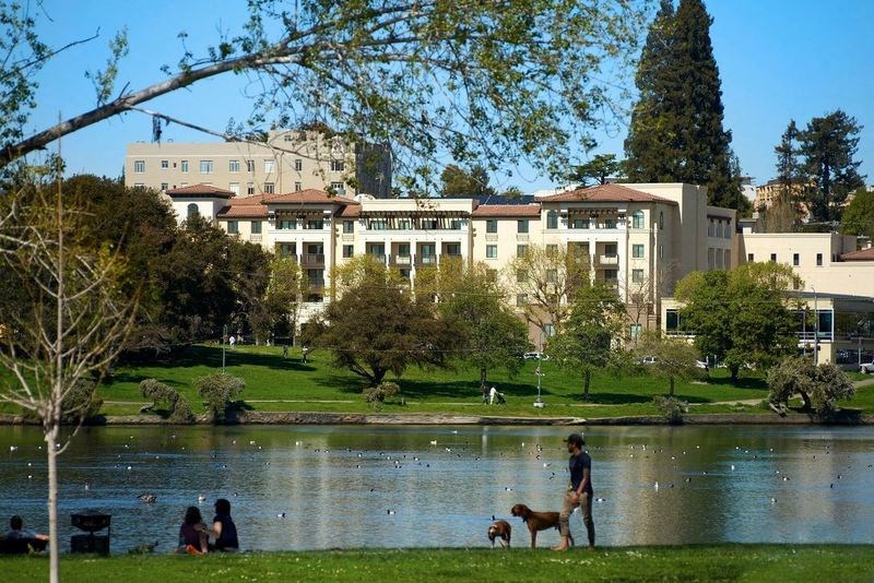 a man and two dogs walking near a lake in a park