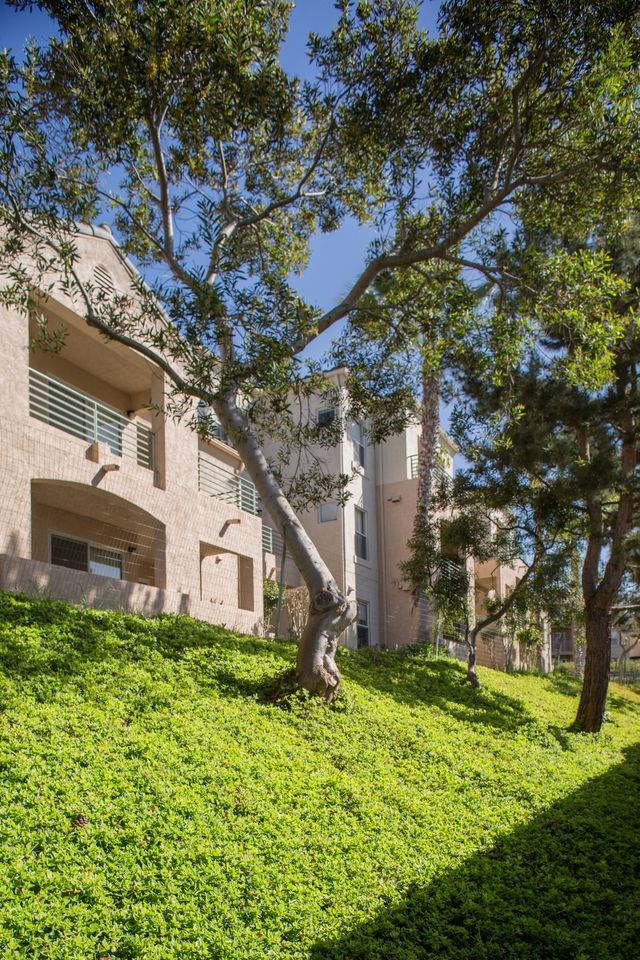 a view of a building with green ivy on it