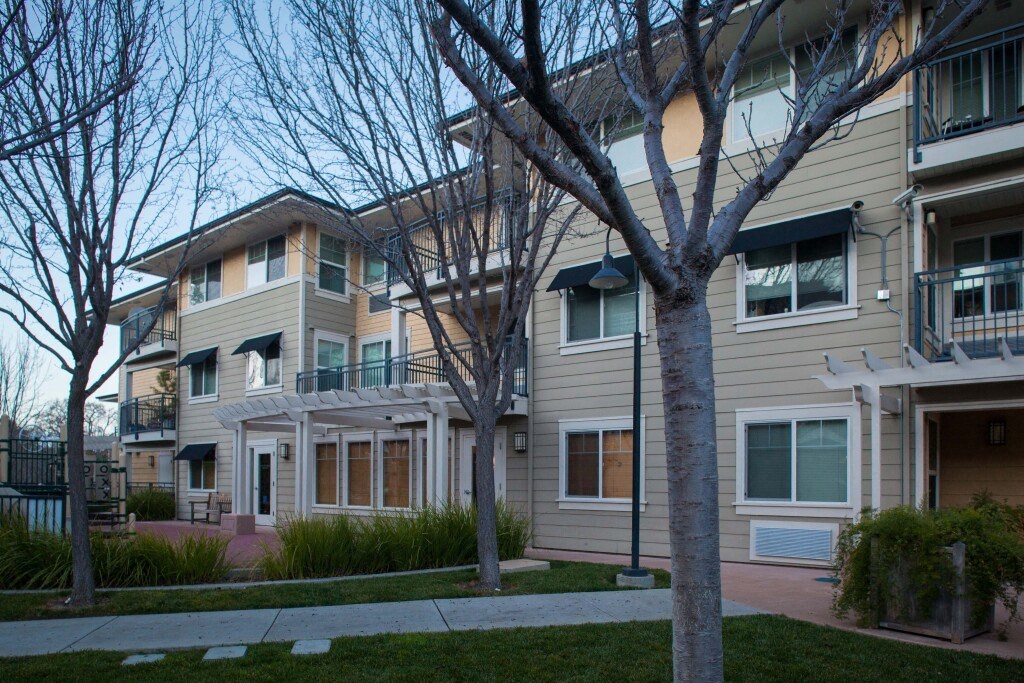 a group of houses with trees in front of them