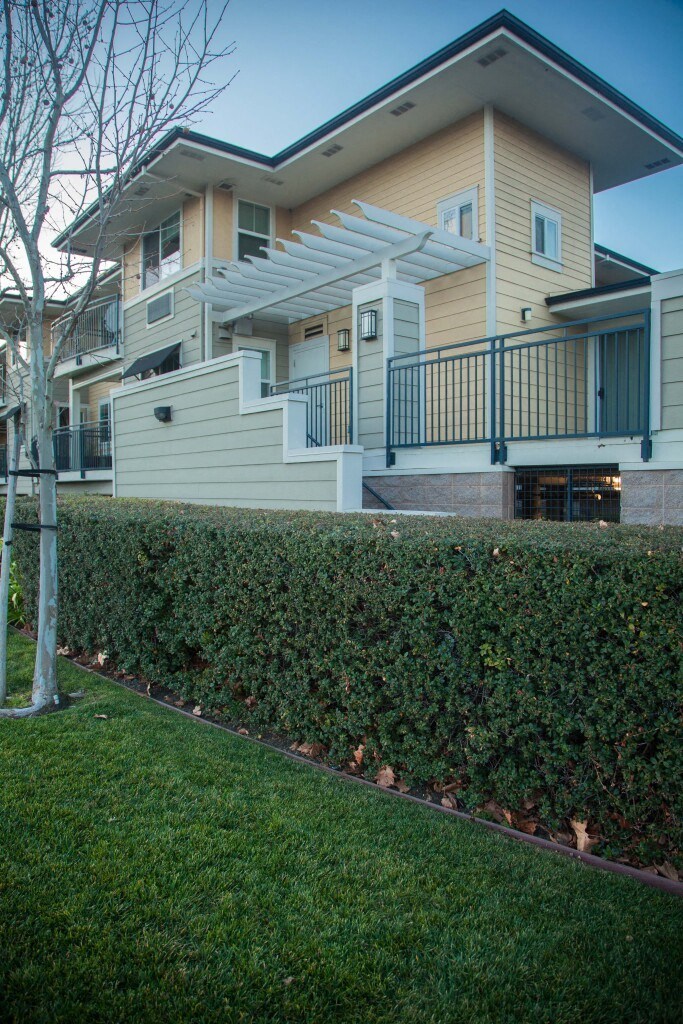 a view of a house from behind a hedge