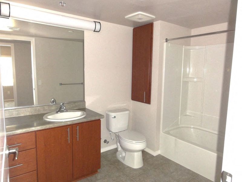 a bathroom with a sink toilet and a shower